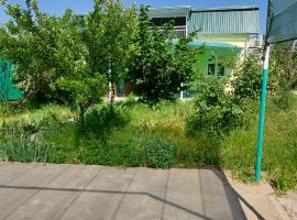 Паркент///Продажа/6167/
