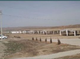 Байсун///Продажа/6175/