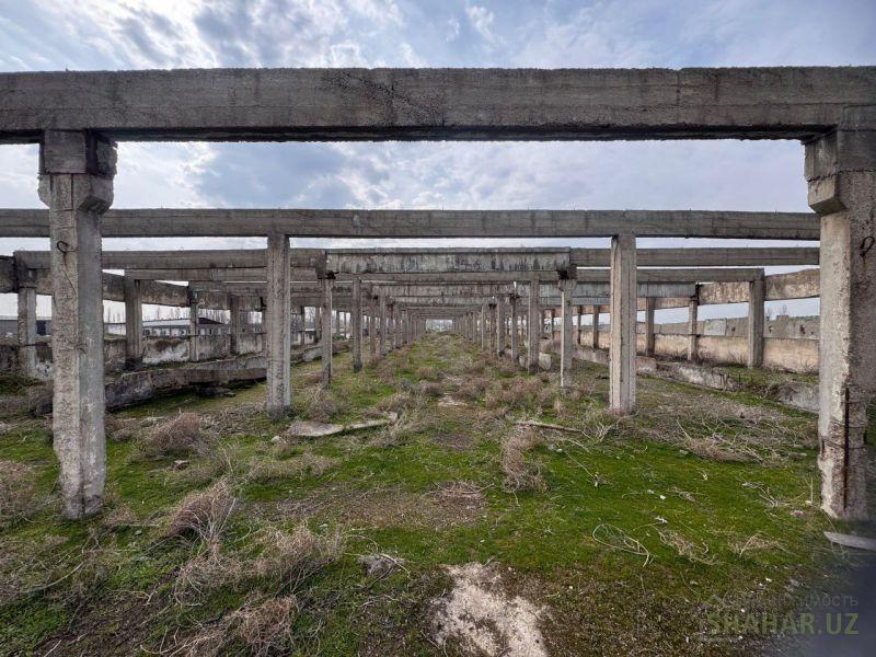 Ташкентская/Нурафшон  Продажа земля  4