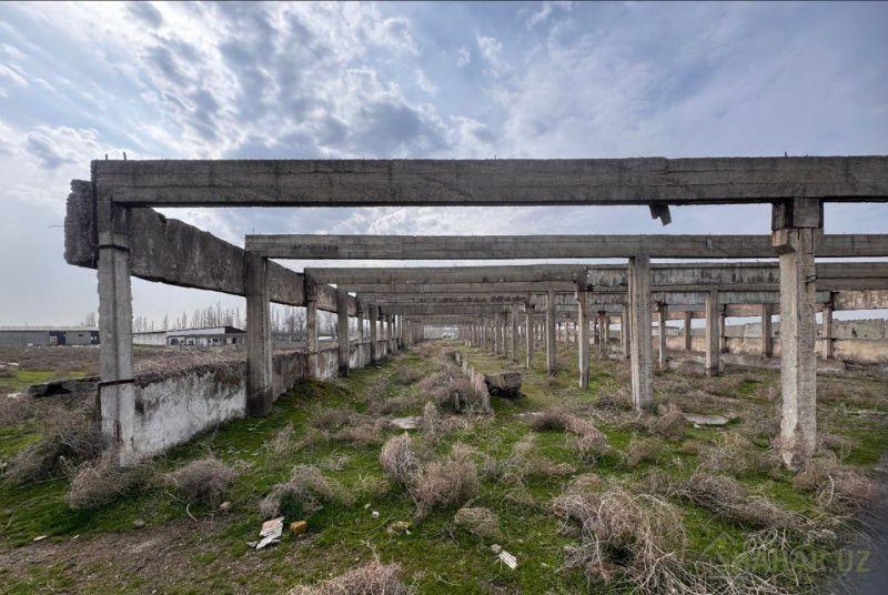 Ташкентская/Нурафшон  Продажа земля  5